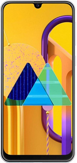 Ремонт Samsung Galaxy M30s (2019) (SM-M307F)
